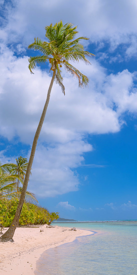 Partir en Guadeloupe,sejourgroupeguadeloupe