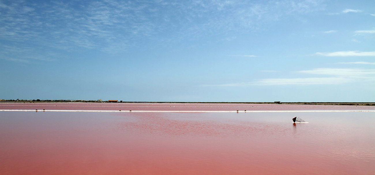 Côté Voyages - Séjours et week-ends dans le Sud-Ouest de la France