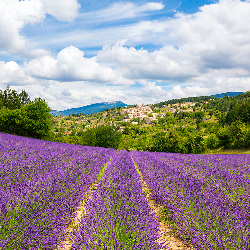 Côté Voyages - Destination Provence dans le Sud de la France