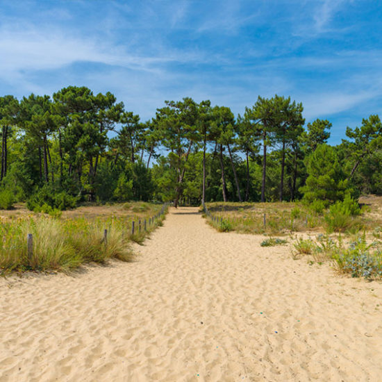 Côté Voyages - Vacances à l'Île d'Oléron - Calme et nature