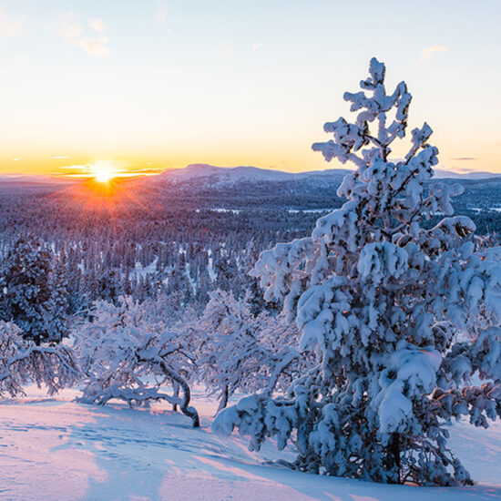 Finlande à Rovaniemi pour passer un réveillon en groupe original