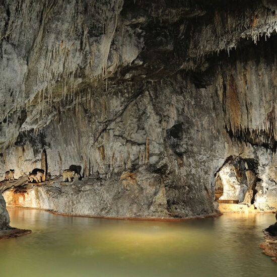 Séjour Groupe Puy de Dome Auvergne - Côté Voyages