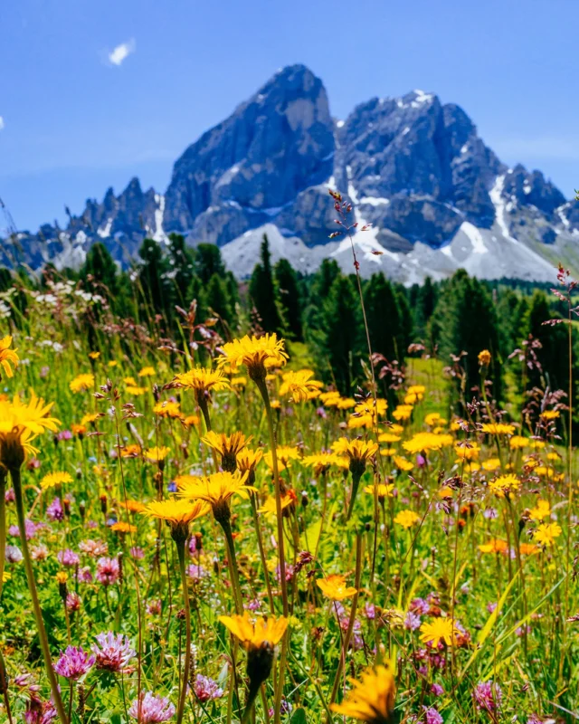 🌄✨ Et si vous preniez de la hauteur ? Évadez-vous en montagne avec Côté Voyages ! 🌿🍂

🌟 Besoin de nature, de calme et de vastes espaces loin de l’agitation ? Nos séjours sur mesure en montagne, disponibles en été et en automne, sont parfaits pour vous ressourcer et vivre des moments uniques en groupe.

👨‍👩‍👧‍👦👩‍👩‍👧‍👦 Que vous soyez une grande famille, un groupe d’amis, une association ou une entreprise, nous adaptons nos séjours à vos envies.

🎯 Au programme :

🚶‍♂️ Randonnées pour découvrir des panoramas incroyables.
🌊 Sports d’eau vive pour des sensations fortes.
🐴 Balades à cheval pour explorer autrement.
... et bien d'autres activités qui répondront à vos attentes !
🌿 Pourquoi choisir la montagne ?

Explorez une faune et une flore exceptionnelles. 🐾
Profitez de la fraîcheur des hauteurs pour vous déconnecter. 🧘‍♀️
Fuyez les plages bondées et offrez-vous des instants privilégiés au cœur de la nature. 🏞️
Entretenez votre forme en plein air tout en vous amusant. 🚵‍♀️
✨ La montagne, un vrai souffle d’air frais pour votre esprit et votre corps.

👉 Découvrez nos exemples de séjours : bit.ly/3DaWABj

👉 𝐃𝐞𝐦𝐚𝐧𝐝𝐞𝐳 𝐯𝐨𝐭𝐫𝐞 𝐝𝐞𝐯𝐢𝐬 𝐩𝐞𝐫𝐬𝐨𝐧𝐧𝐚𝐥𝐢𝐬𝐞́ : bit.ly/47VYyWh

#CôtéVoyages #ÉvasionEnMontagne #SéjourEnGroupe #NatureEtAventure #Randonnée #SportsEnPleinAir #Teambuilding #VacancesEnsemble