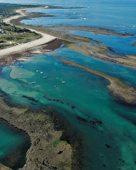 🌿 Cap sur l’Île d’Oléron ! 🌊

Envie de respirer l’air iodé, de vous reconnecter à la nature et de vivre un moment de détente en groupe ? Ce séjour est fait pour vous ! 😄

Bienvenue sur la plus grande île de la côte Atlantique française, un véritable petit paradis entre plages infinies, forêts de pins et marais préservés. Un cadre exceptionnel pour une escapade inoubliable ! 🌅🌳

✨ Au programme :

Farniente sur les plages de sable doré

Activités nautiques pour tous les goûts

Balades à vélo dans les villages de pêcheurs

Dégustation d’huîtres Marennes-Oléron 🦪

Animations sportives, culturelles et festives

👨‍👩‍👧‍👦 Que vous soyez un club, une entreprise, un groupe d’amis ou une grande famille, nous vous accueillons dans un Village Club* tout confort, avec hébergements de plain-pied nichés en pleine forêt 🌲

💡 En collaboration avec nos partenaires locaux, nous organisons un séjour sur mesure, selon vos envies, vos besoins et la durée de votre choix, en pension complète ou demi-pension.

🔗 𝐃𝐞́𝐜𝐨𝐮𝐯𝐫𝐞𝐳 𝐭𝐨𝐮𝐭𝐞𝐬 𝐥𝐞𝐬 𝐢𝐧𝐟𝐨𝐬 𝐢𝐜𝐢 : bit.ly/3L3W0dd

#cotevoyages #sejourgroupe #vacancesengroupe #groupetravel #iledoledon #charentemaritime #teamspirit #sejournature #voyageorganise #clubsvoyages #teambuilding

📸 Crédits photo : sortirsuroleron.com
